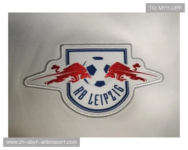 德甲各球队队服设计风格及区别详解