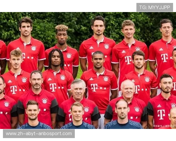 属于德甲系的球队名单汇总与联盟影响力分析